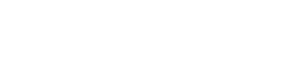 EMS Leadership Summit 911Leadership white on transparent layer